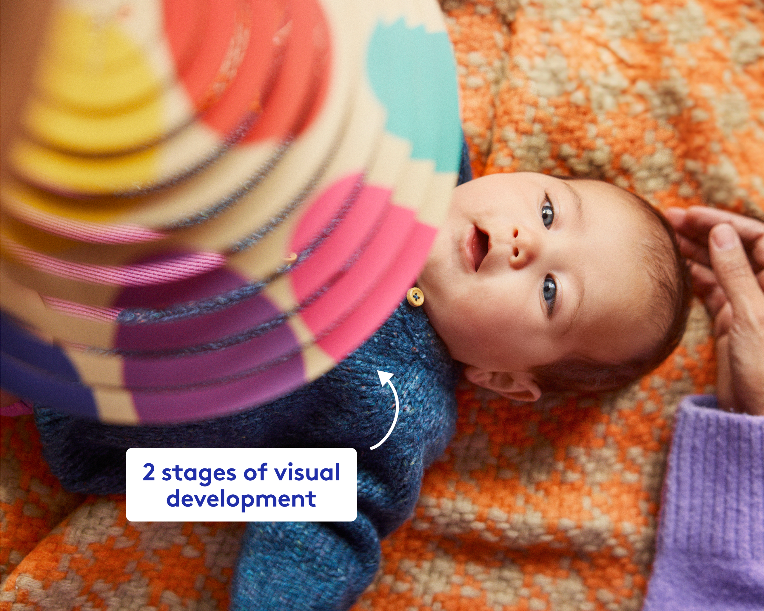The Looker Play Kit - Image 11